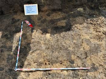 Střípky z výzkumu v Rumunsku II.