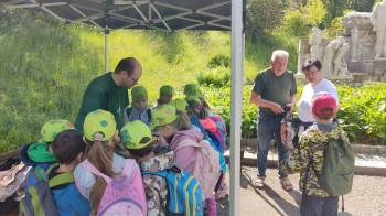 Lesní hry ve spolupráci s Vlastivědným muzeem Jesenicka