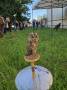 IMG-20260606-WA0002.jpg