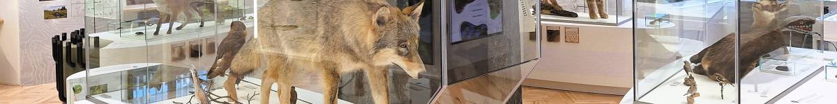 Živá příroda Jesenicka